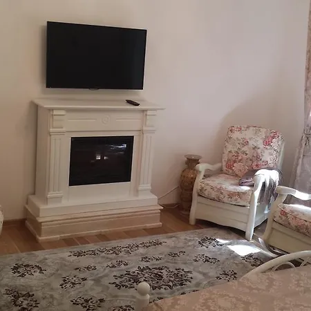 Elegance تيميشورا