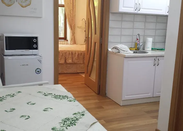 Διαμέρισμα Elegance Τιμισοάρα