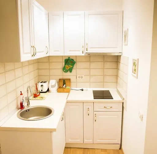 Elegance * Τιμισοάρα